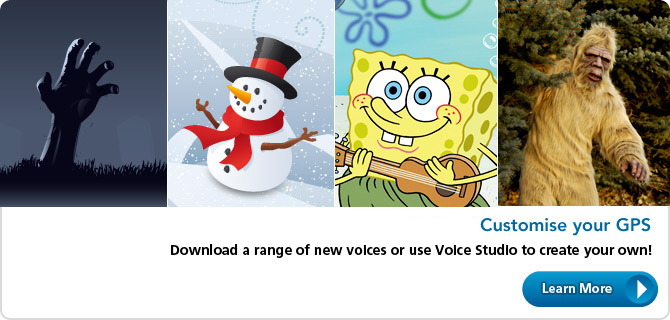 Voice